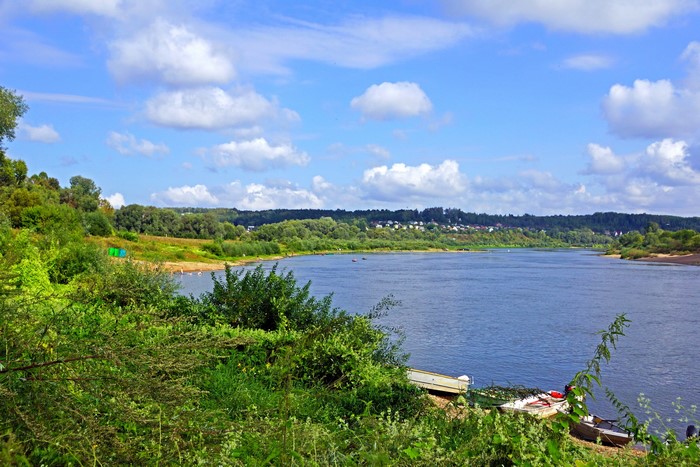 River landscape with green trees and blue sky