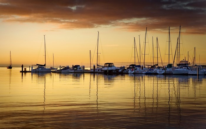 Sailboats docked at a marina during sunset