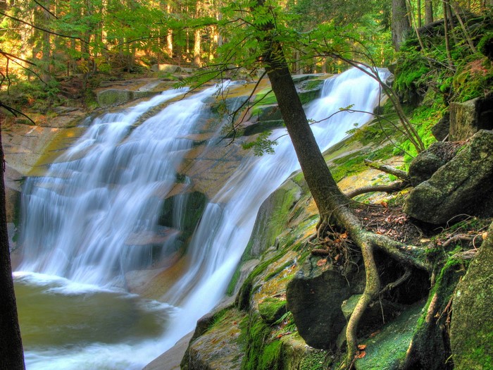 Waterfall cascading over rocks in a forest