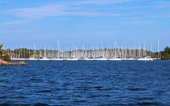 Sailboats docked in a harbor with trees and blue sky