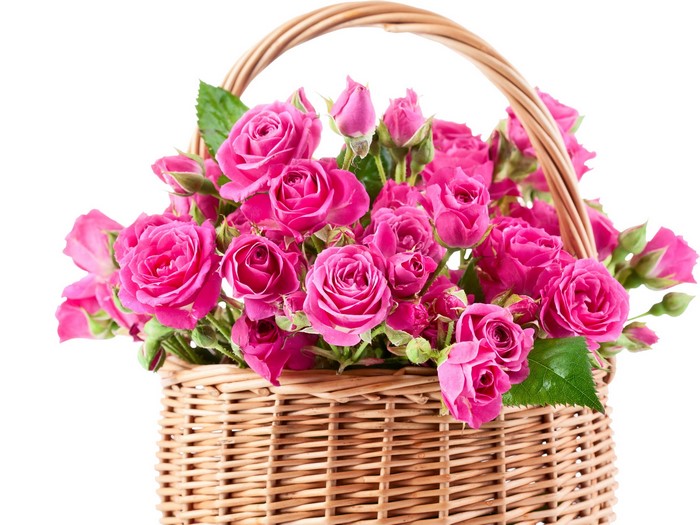 Basket of pink roses