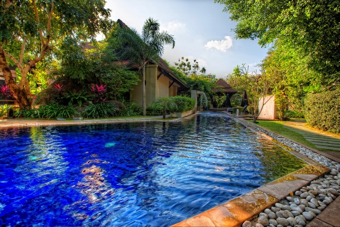 Resort swimming pool surrounded by lush greenery