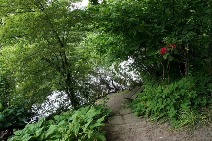 Park path with bench by a lake