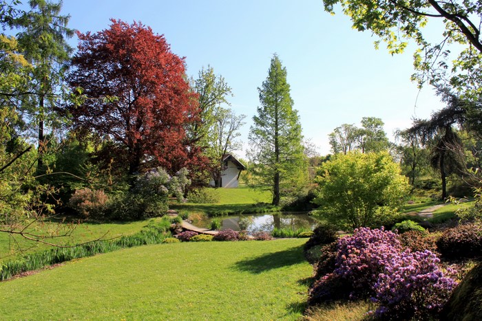 Park with pond and trees