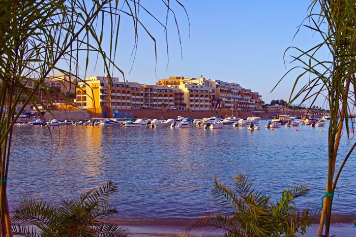Boats docked in a harbor with buildings in Malta