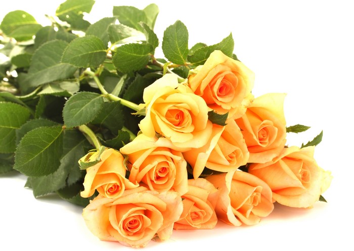 4K Yellow Roses Bouquet