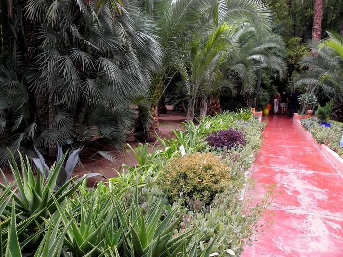 Jardin Majorelle Marrakech Morocco
