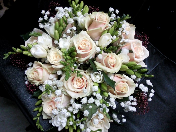 Bouquet of cream roses and baby's breath