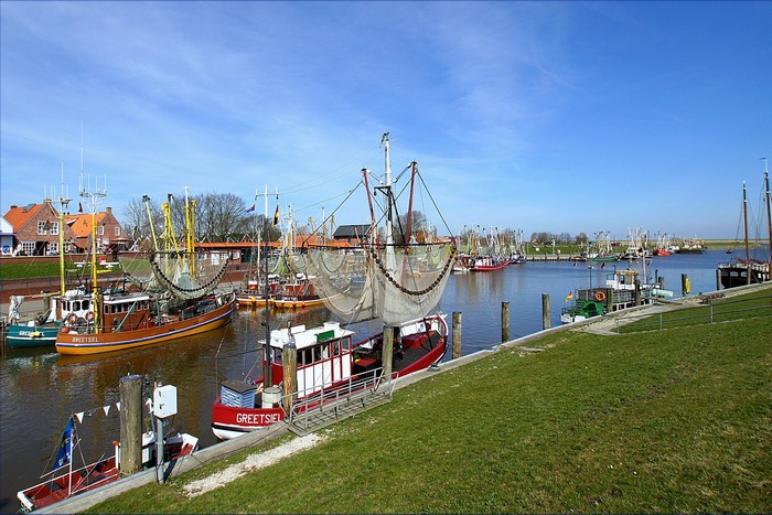 Fishing boats docked in a harbor under a blue sky