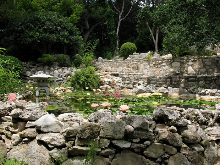 Japanese Garden Pond with Water Lilies and Stone Lantern