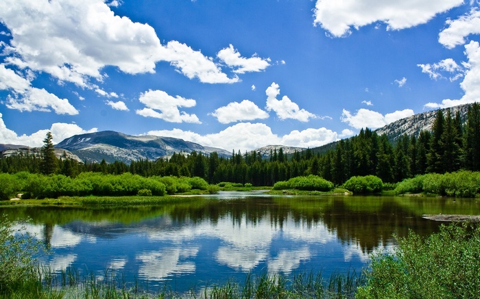 Lake and Mountains with Pine Trees and Clouds