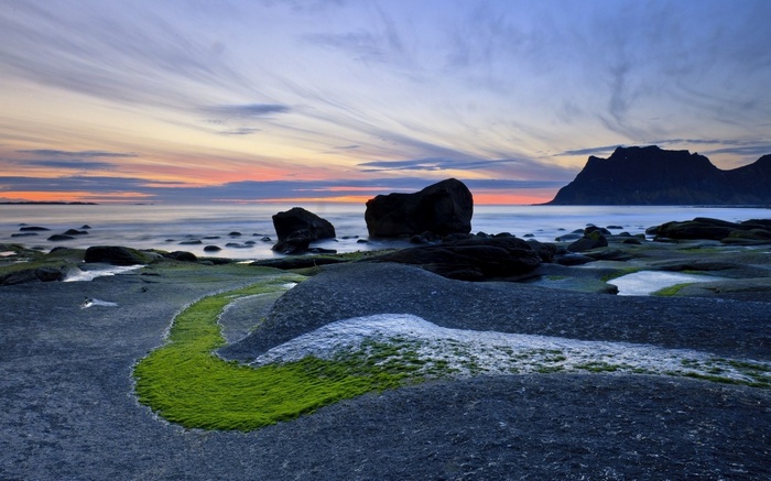 Rocky coastline with moss and mountain at sunset