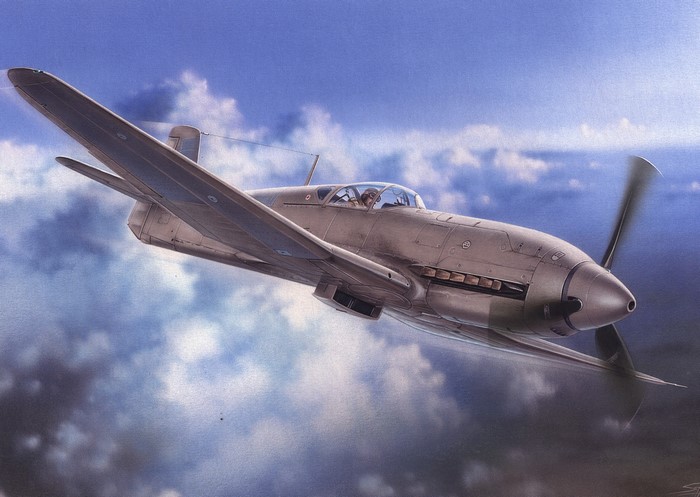 Heinkel He 100D airplane in flight