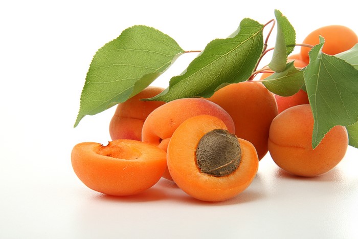 Apricots with leaves