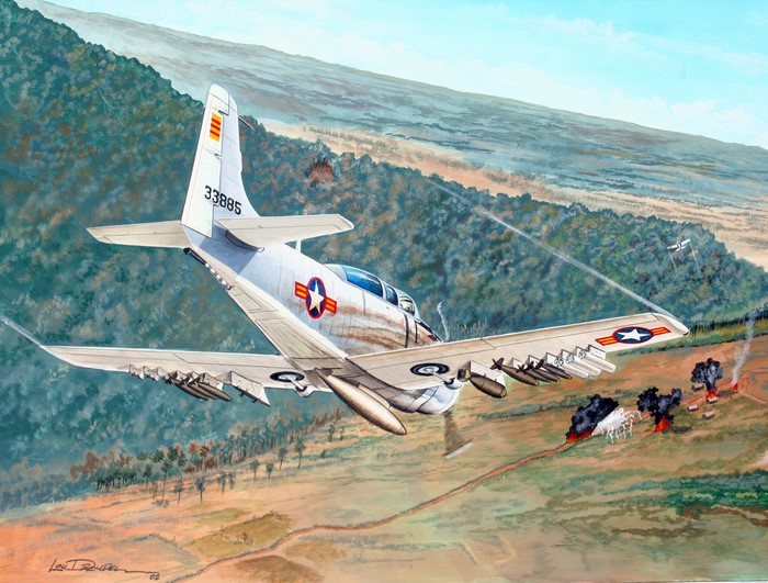 VNAFA-1E Airplane Painting Art