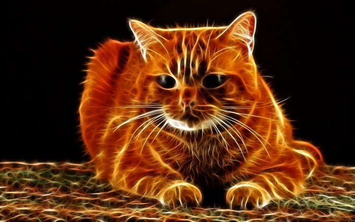 Orange cat with glowing fractal patterns