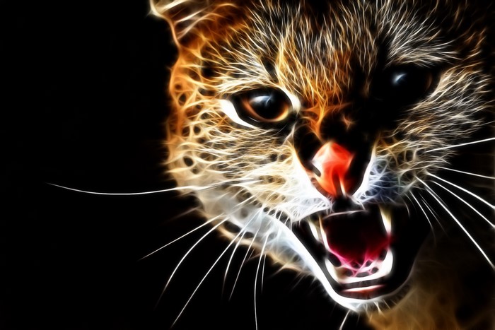 Close-up of a roaring cat with glowing fur