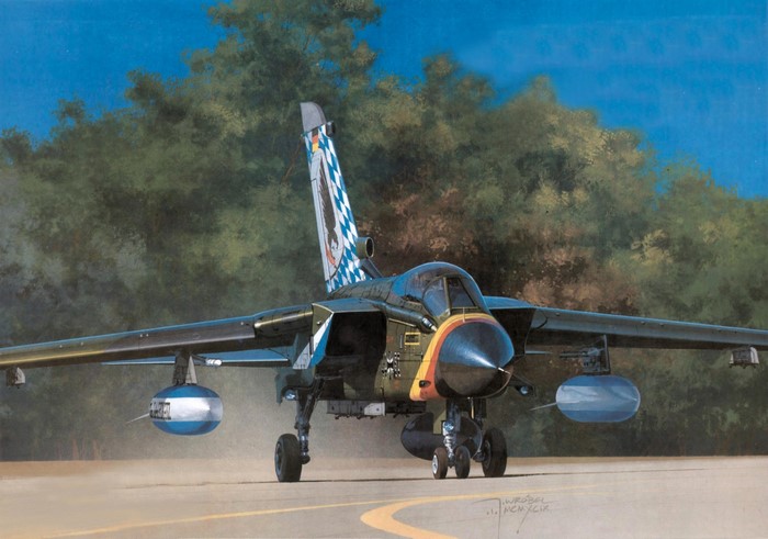 Panavia Tornado airplane painting