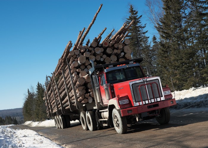 Red Western Star logging truck carrying logs