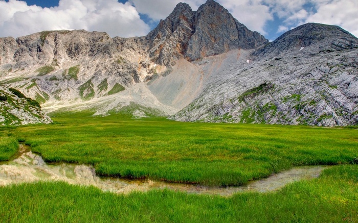 Green meadow with stream and rocky mountains