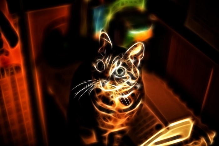 Fractal Cat Looking Forward
