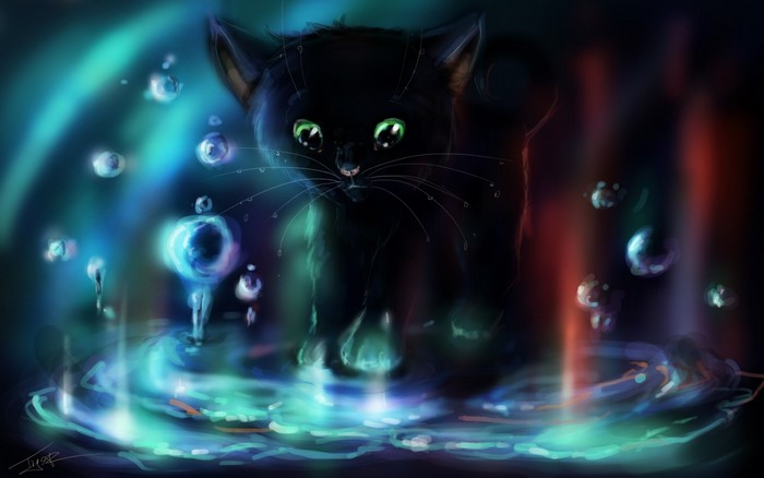 Black kitten in glowing water with bubbles