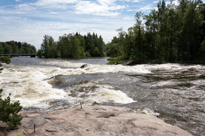 River rapids with trees and a bridge