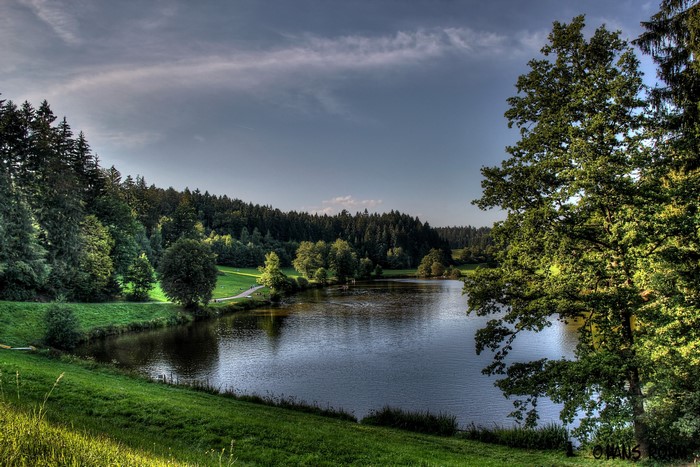 Lake and forest in Germany