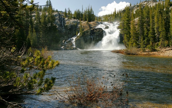 Waterfall in a forest with a river