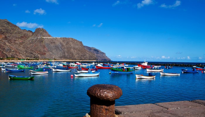 Colorful fishing boats moored in a harbor with mountains
