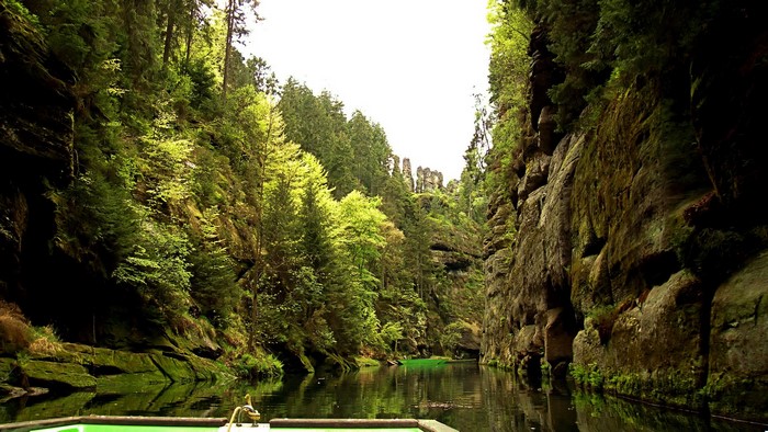 Boat on a river through a forest canyon