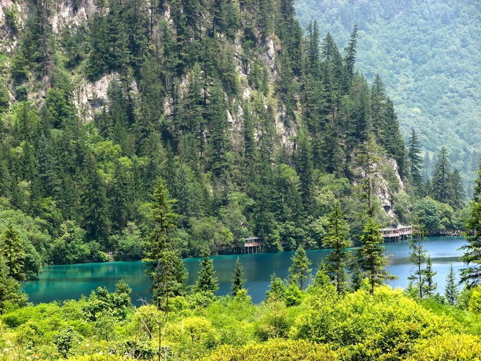 Turquoise lake surrounded by trees in Jiuzhaigou Valley, China