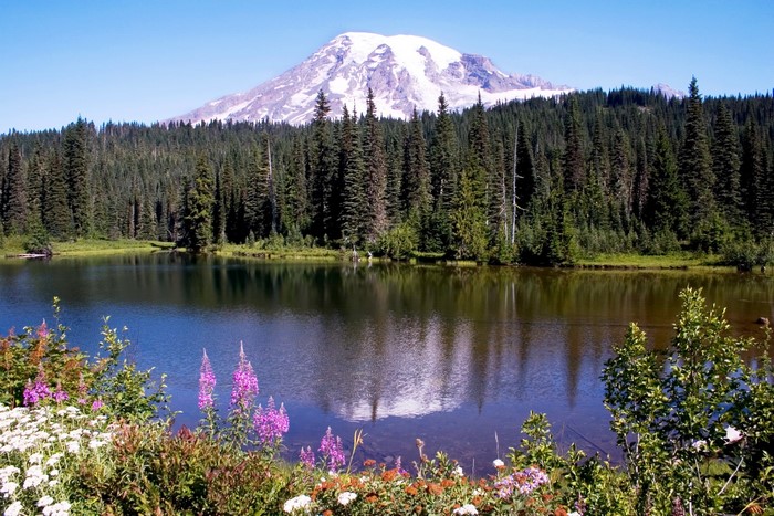 Mount Rainier National Park with lake and wildflowers
