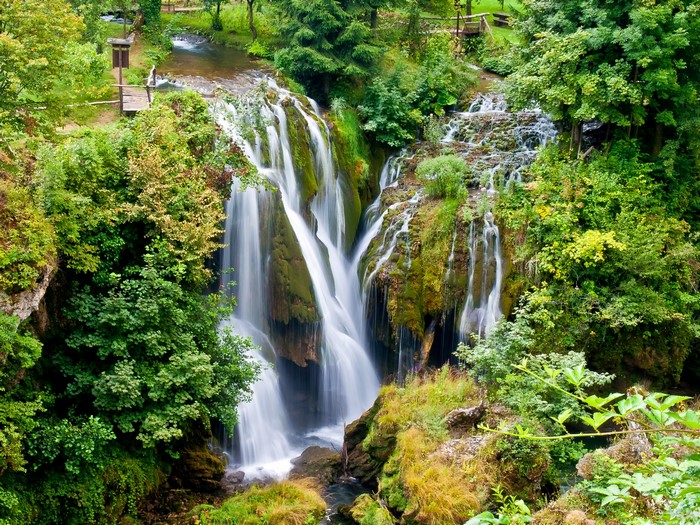 Waterfalls cascading through a lush green forest