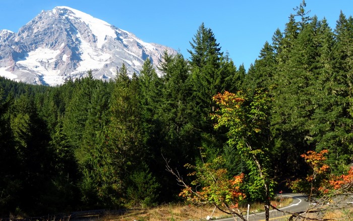 Mount Rainier National Park with Forest and Road