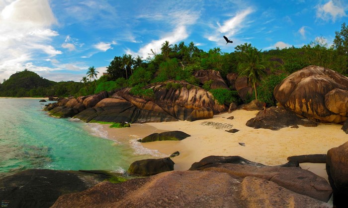 Tropical beach with large rocks and palm trees