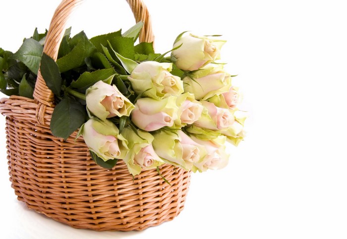 Basket of pale pink and white roses