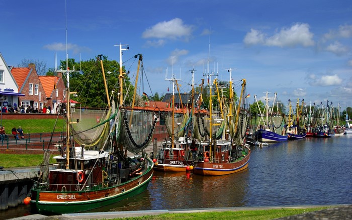 Fishing boats docked in a harbor with buildings in the background