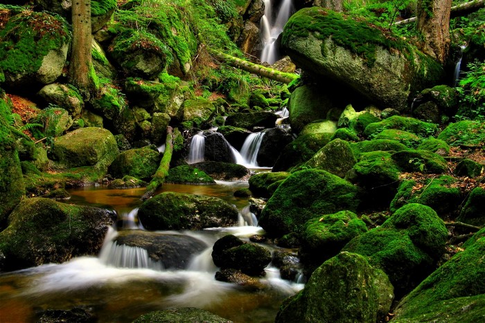 Mossy rocks and waterfalls in a forest stream