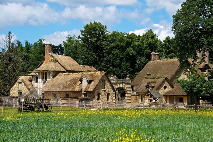 Thatched-roof houses in a field in France