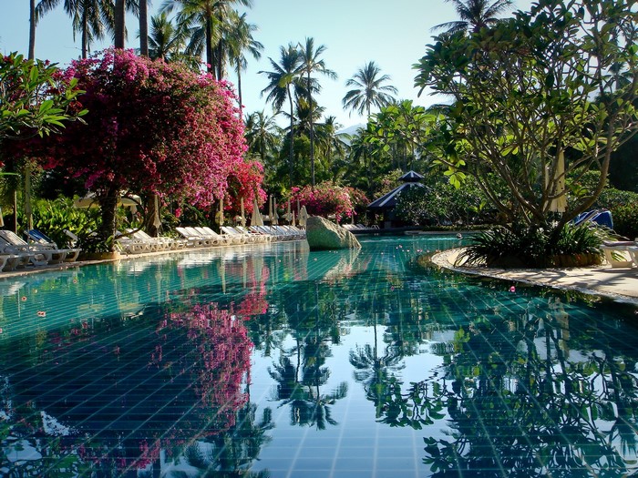 Resort swimming pool with palm trees and flowers in Thailand