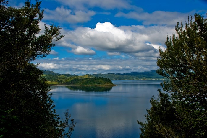Lake Rotoma New Zealand Rotorua