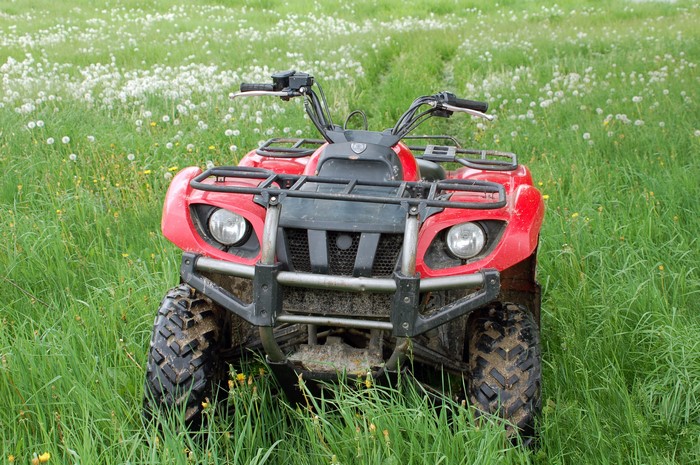 Red ATV parked in a grassy field with flowers
