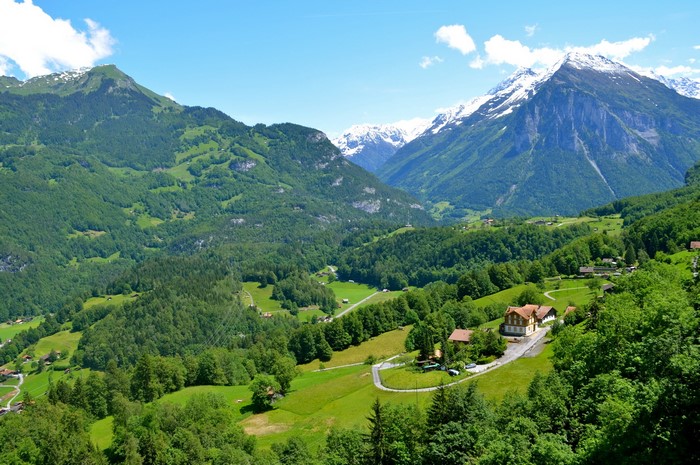 Swiss Alps valley with snow-capped mountains and green forests