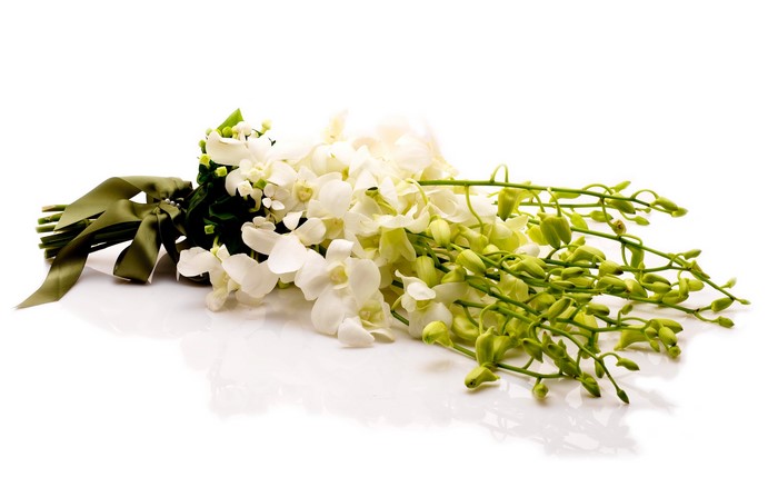 White Orchid Bouquet with Green Ribbon