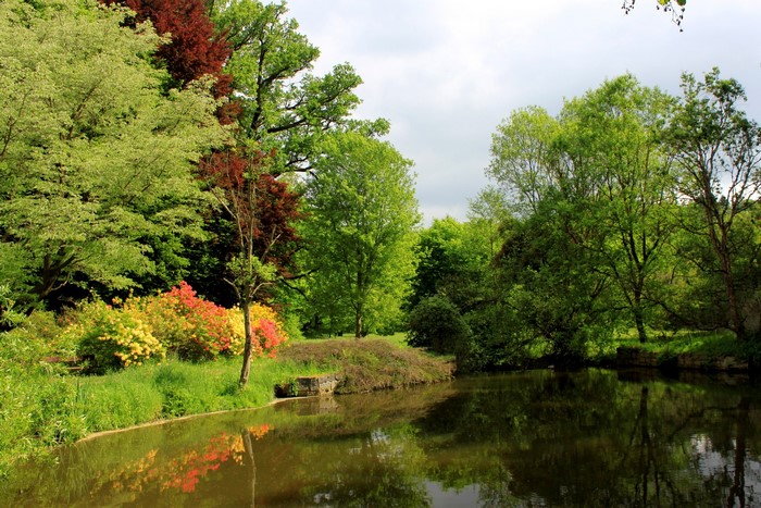 A tranquil pond reflects colorful trees and foliage in a park.