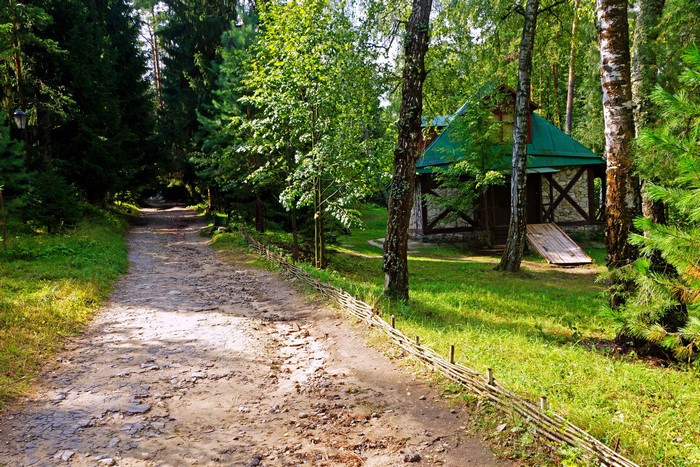 Dirt road leading to a cabin in a forest