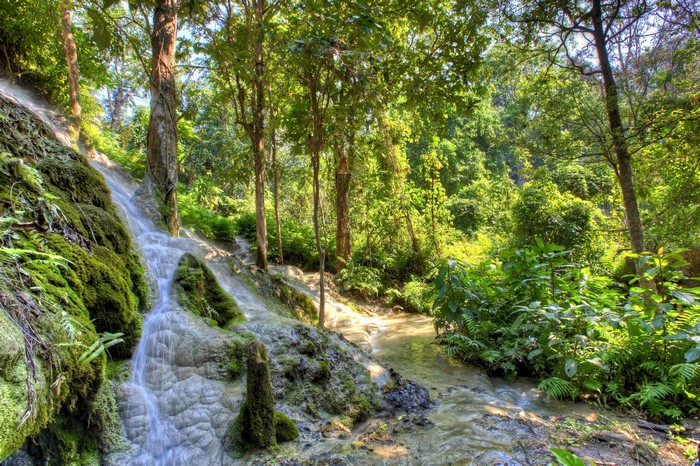Waterfall flowing over mossy rocks in a forest