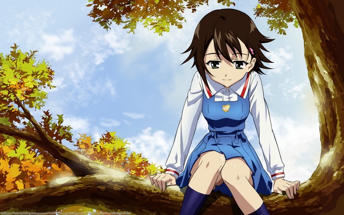 Aiko from True Tears sitting on a tree branch