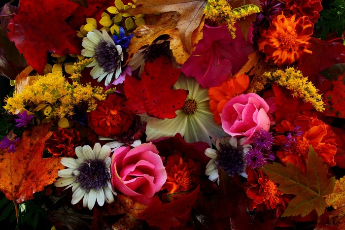 Autumn bouquet of flowers and leaves